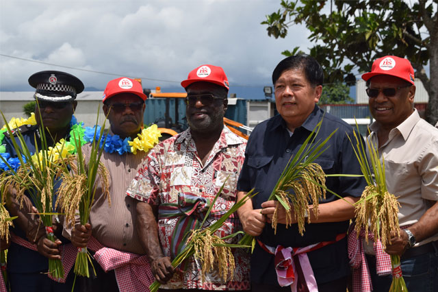 Rice Supplier Harvests First Crop